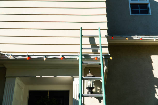 Best Custom Siding Design  in Fairfield, AL
