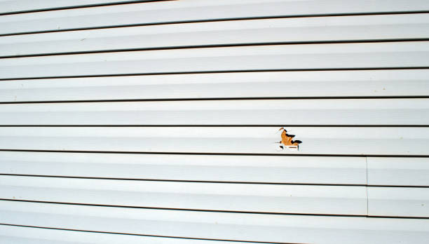 Best Steel Siding Installation  in Fairfield, AL